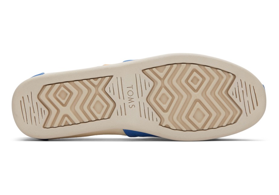 Toms Renk Bloğu Alpargata Mavisi