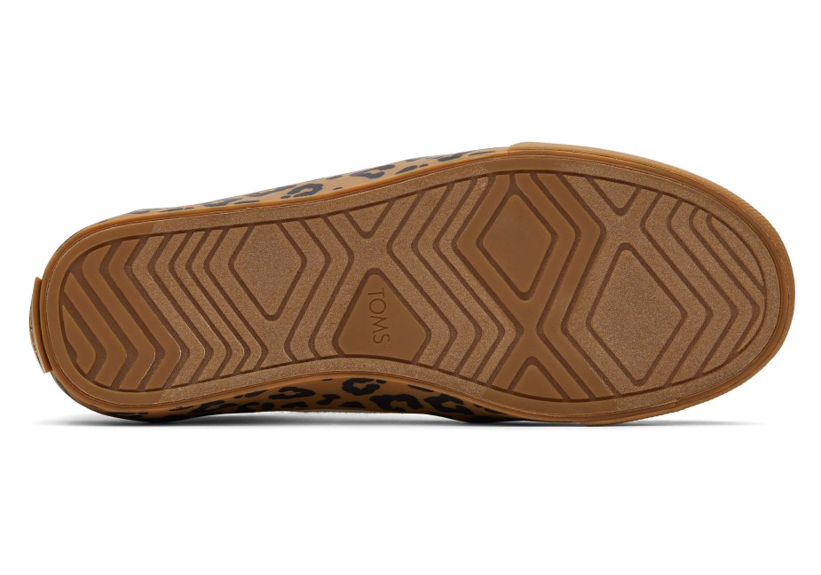 Toms Fenix Eğitmenleri Huş Ağacı