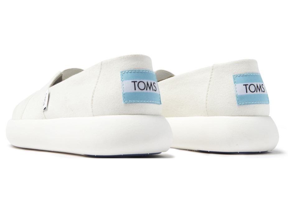 Toms Ebegümeci Puslu Mavi