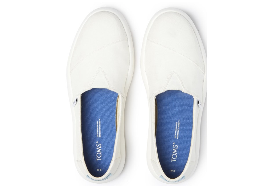 Toms Ebegümeci Puslu Mavi